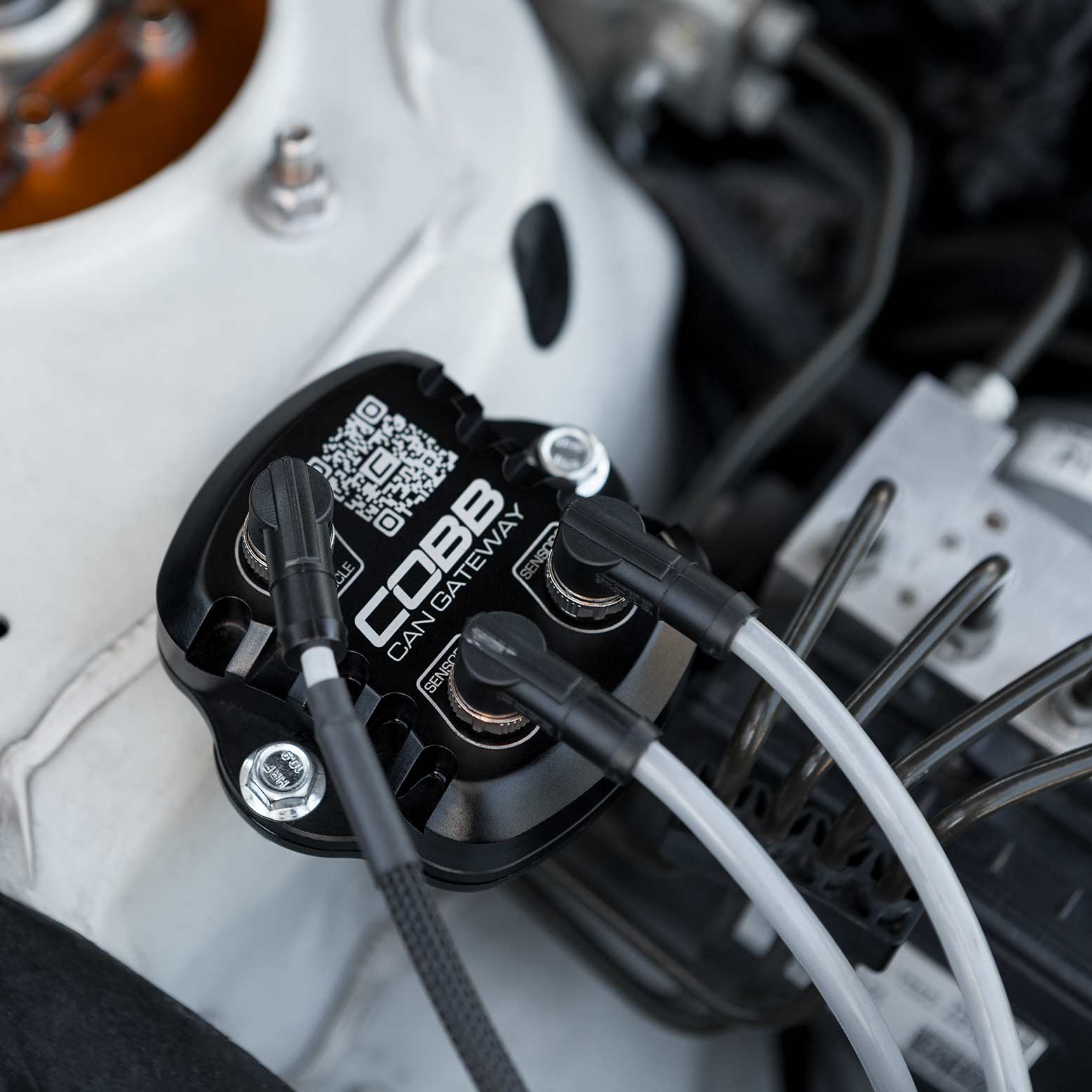 COBB Subaru CAN Flex Fuel Upgrade - 2018-2021 Subaru WRX