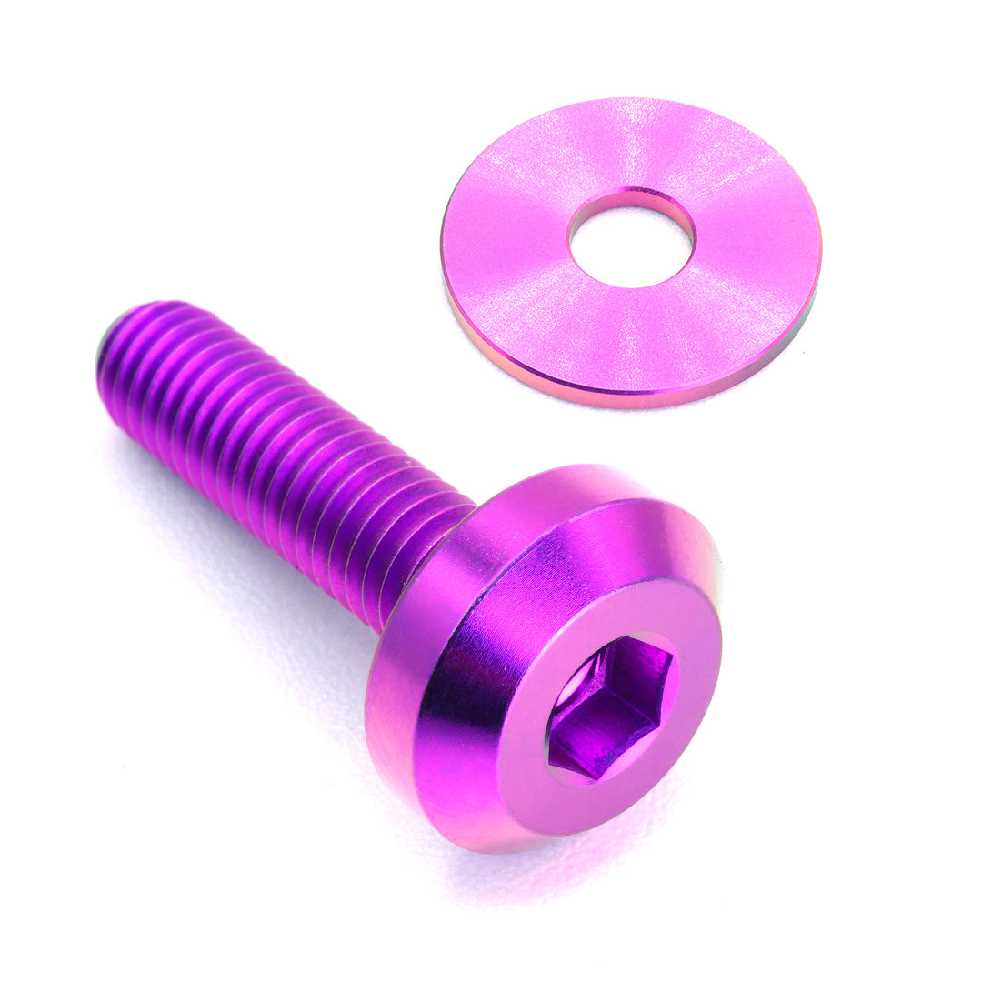 Purple Titanium Bolt and Washer Dress Up Hardware