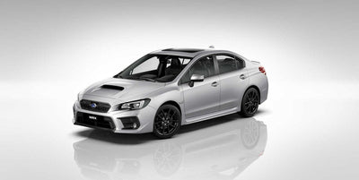 Subaru OEM Touch-Up Paint Pen